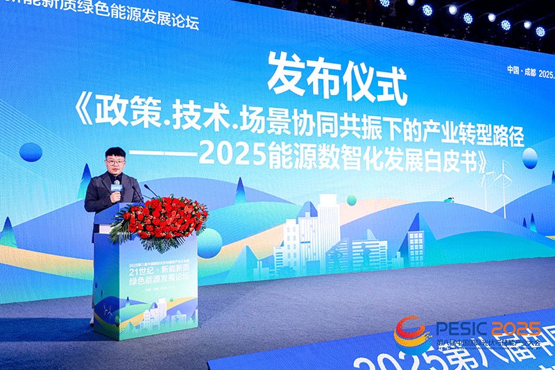 21世纪·新能新质绿色能源发展论坛